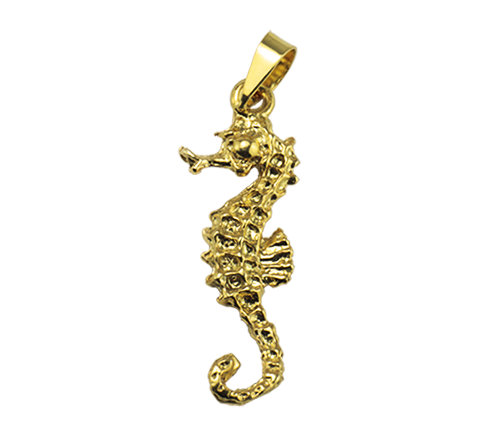 Hippocampus